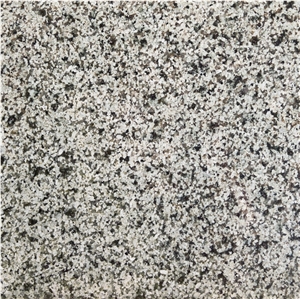 Grey Vietnam Granite Tiles & Slabs