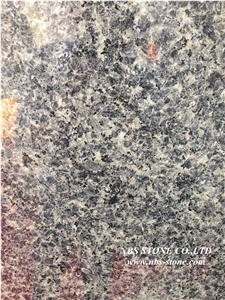 Leopard Skin Flower,China Leopard Flower Granite Tiles