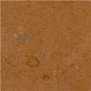 Jaisalmer Yellow Fossil Limestone Tiles, India Jaisalmer Fossil Limestone Jaisalmer Yellow Fossil Limestone Tiles, India Jaisalmer Fossil Limestone
