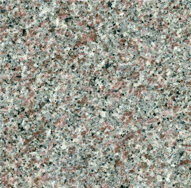 Brushed Chia Red Granite Tiles Wall Cladding/China Red Granite Tiles/Fujian Granite/G664 Granite/Maple Granite