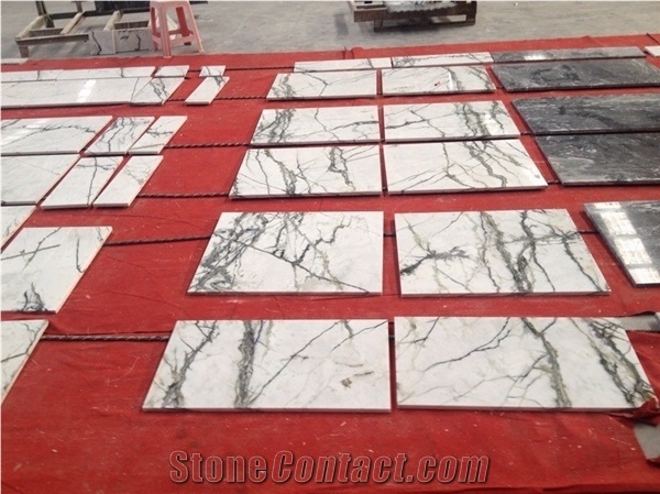 China Arabescato Marble Polished Tiles/White Marble Slabs & Tiles with Veins/Vein Marble/Marble Tiles/White Marble/Green Marble