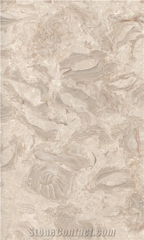 Shells Reef Beige Limestone