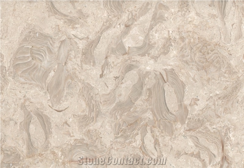 Shells Reef Beige Limestone