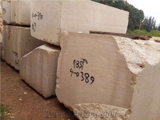 Shells Rhapsody Beige Blocks