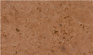 Ivory Gold Limestone Slabs & Tiles, Fossil Gold Limestone