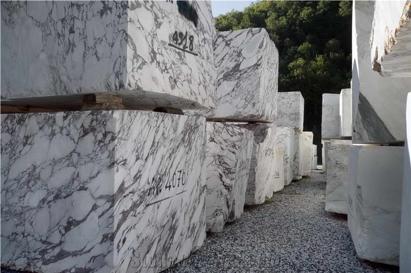 Breccia Vagli Violetta Marble Blocks