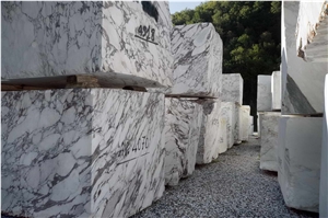 Breccia Vagli Violetta Marble Blocks