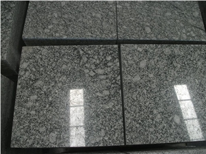 Spary White, China White Granite Slabs & Tiles Spary White, China White Granite Slabs & Tiles