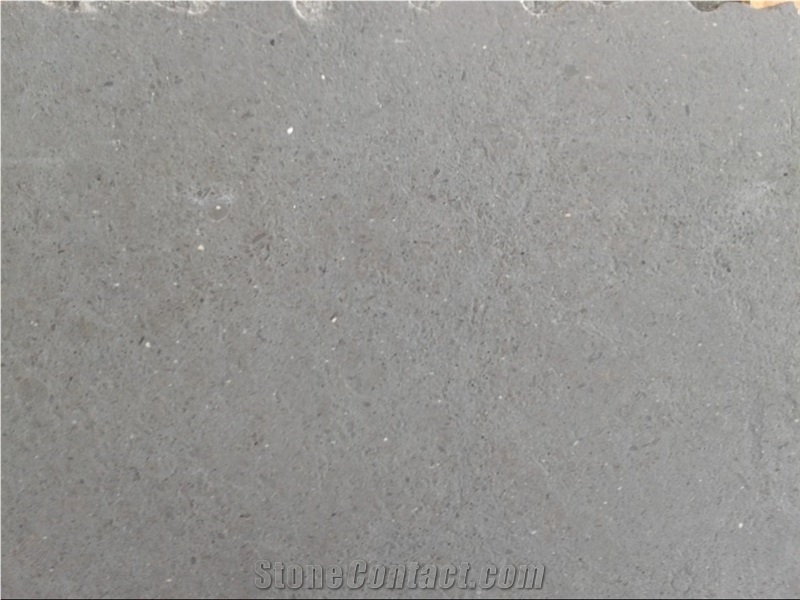 Gris Bruck Limestone Brushed Slabs