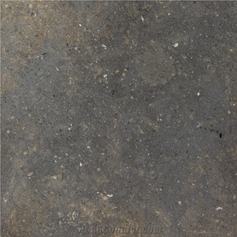 Gris De Catalan Limestone