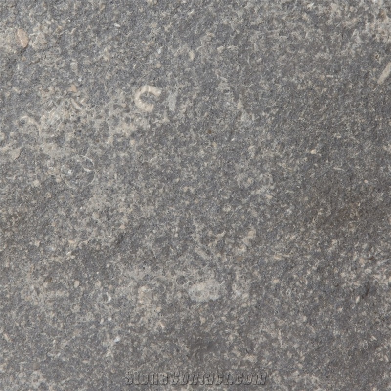 Gris De Catalan Limestone