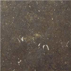 Gris De Catalan Limestone