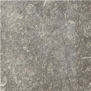 Gris De Catalan Limestone