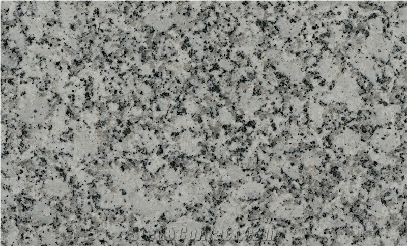 P White Granite Tile, Platinum White Granite Tiles