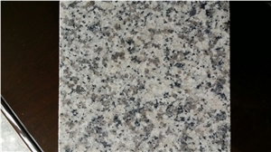 China Grey Granite New G640 Granite Tiles and Slabs