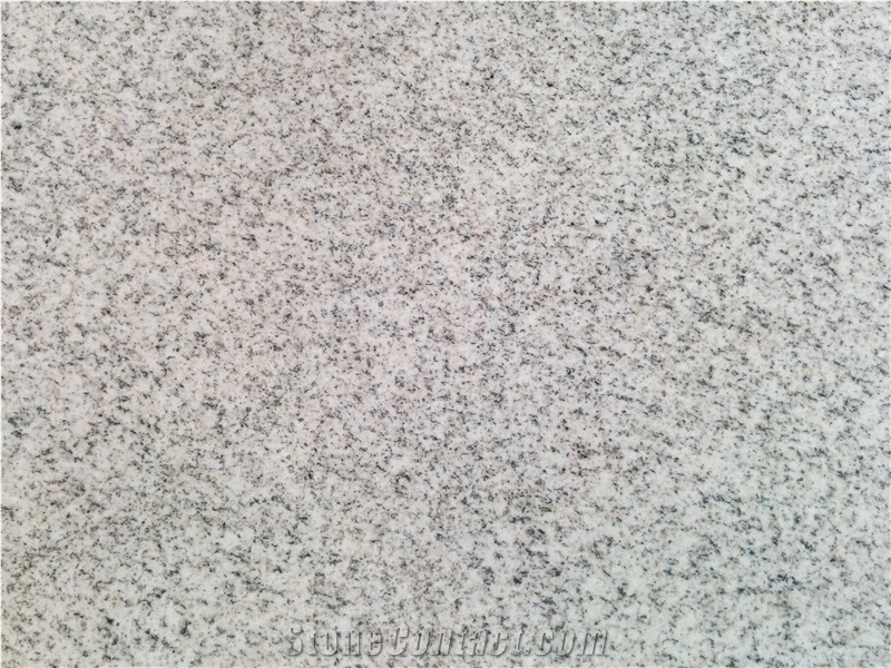China White Galaxy Granite Natural Stones/Shandong White/Sesame White/G365 Pure White Granite Tiles