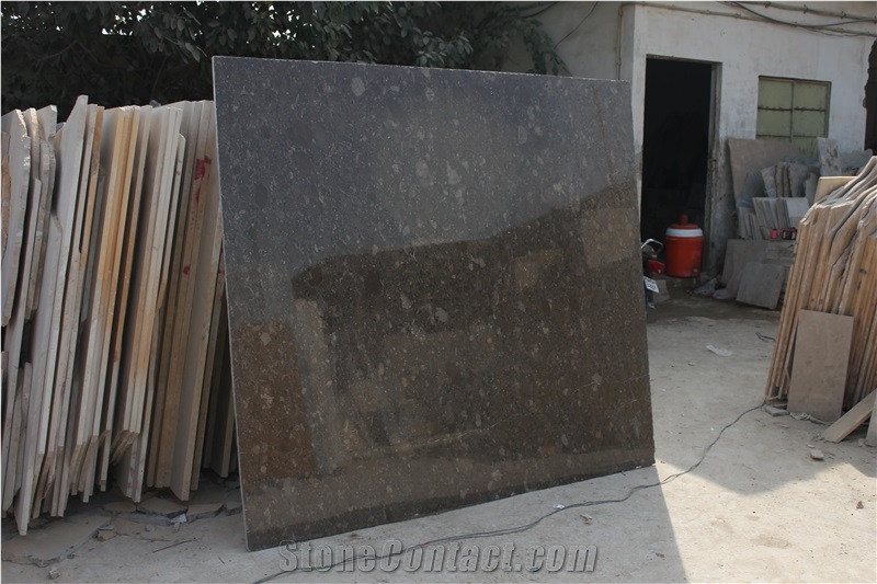 Fossil Dark Grey Limestone Slabs & Tiles, Pakistan Grey Limestone