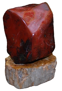 Red Jasper with Petrified Wood Base