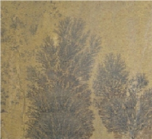 Fossil Mint Sandstone Tiles Fossil Mint Sandstone Tiles