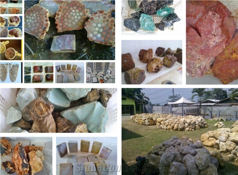 Coral Fossil Factory