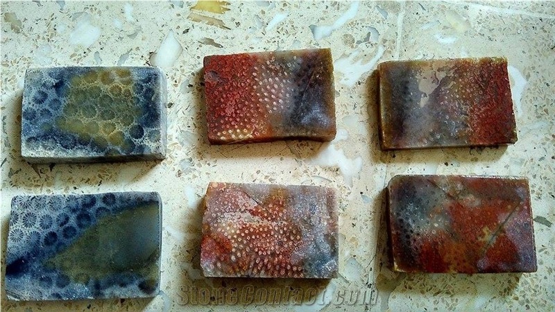 Coral Fossil Factory