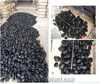 Coral Fossil Factory