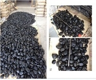 Coral Fossil Factory