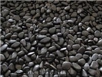 Coral Fossil Factory
