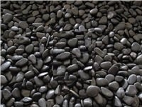 Coral Fossil Factory