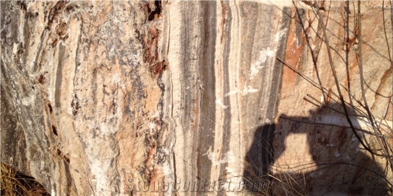Capricho Travertine