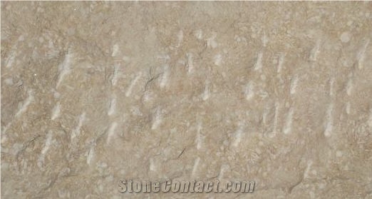 Limestone Hayan Tiles & Slabs, Beige Jordan Limestone Tiles & Slabs