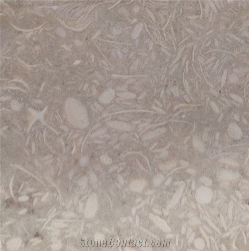 Limestone Ma"An, Grey Limestnoe Jordan Tiles & Slabs