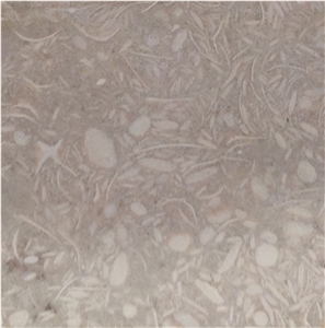 Limestone Ma"An, Grey Limestnoe Jordan Tiles & Slabs