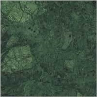 Forest Green Marble Tiles & Slabs, Green Marble India Tiles & Slabs