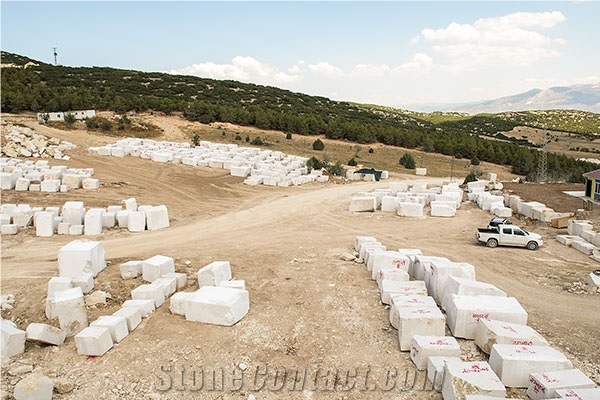 Latte Beige Marble Blocks