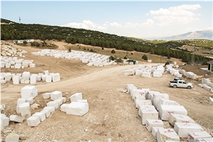 Latte Beige Marble Blocks