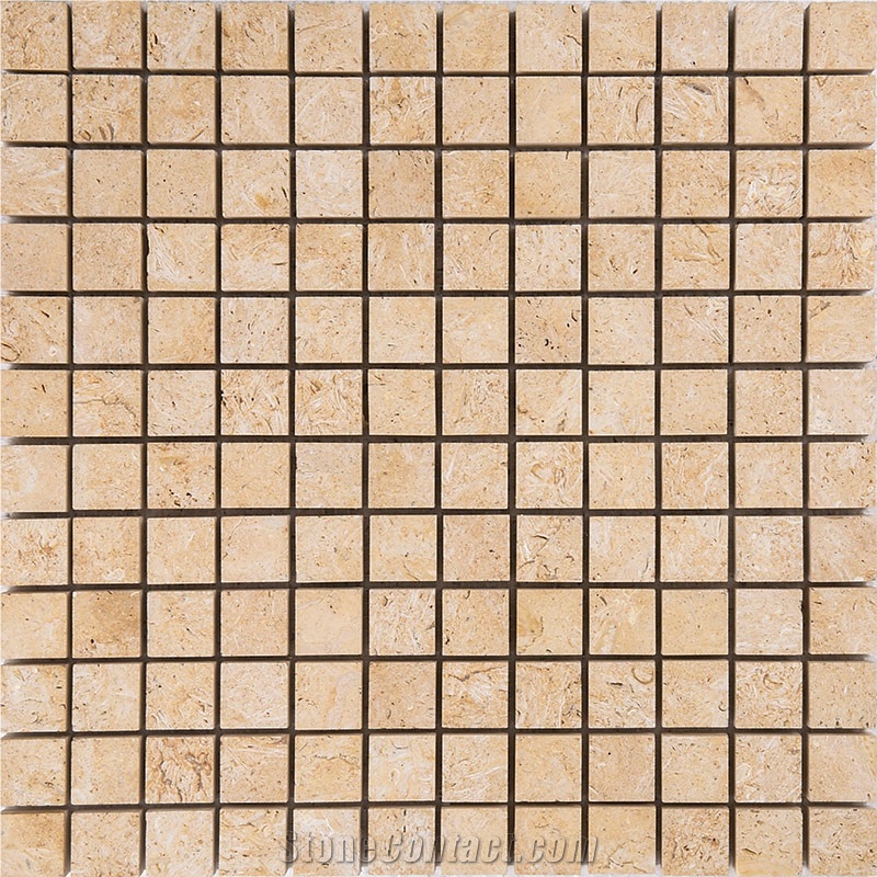 Seabed Gold Limestone Honed Mosaic
