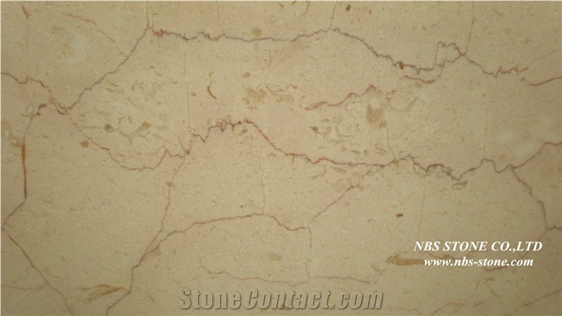 Iran Shell Beige Marble Slabs & Tiles,Marble Wall Covering Tiles