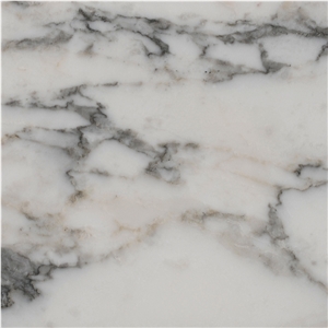 Arabescato Vagli Marble Slabs & Tiles, Italy White Marble