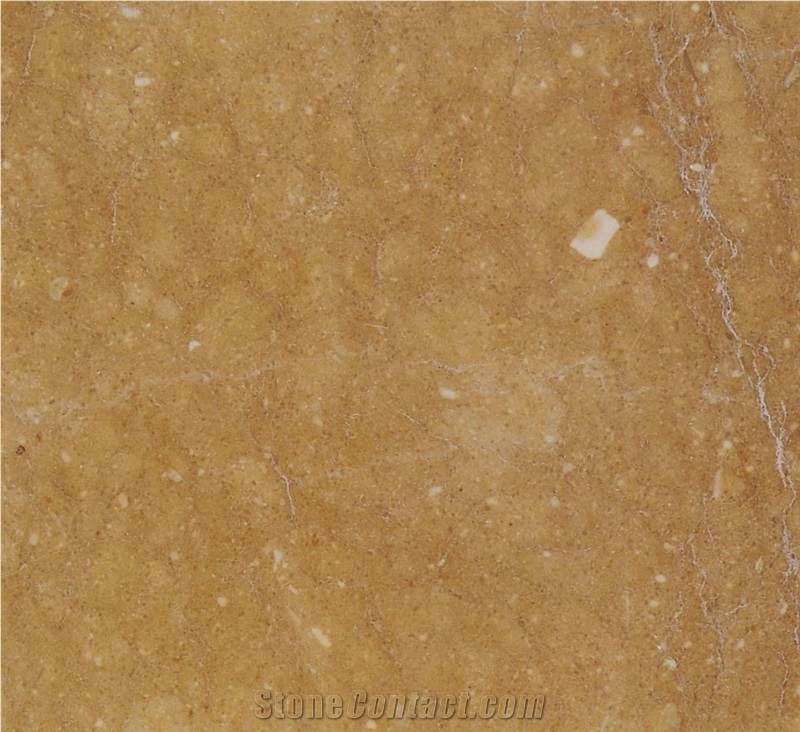 Damask Gold Limestone
