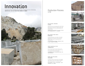 Stone Curtain Wall, Black Granite Building & Walling
