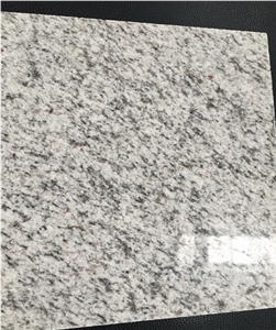 Light White Granite Slabs & Tiles