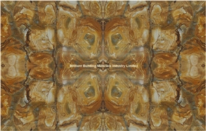 Brazil Yellow Luxury Palomino Quartzite Slabs & Tiles, Background Wall Tiles