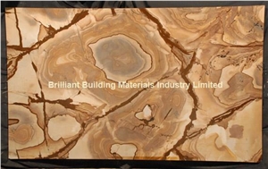Luxury Palomino Quartzite Slab,Brazil Yellow Quartzite