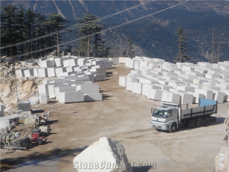 Crema Cloudy Limestone Blocks, Beige Limestone Turkey Blocks