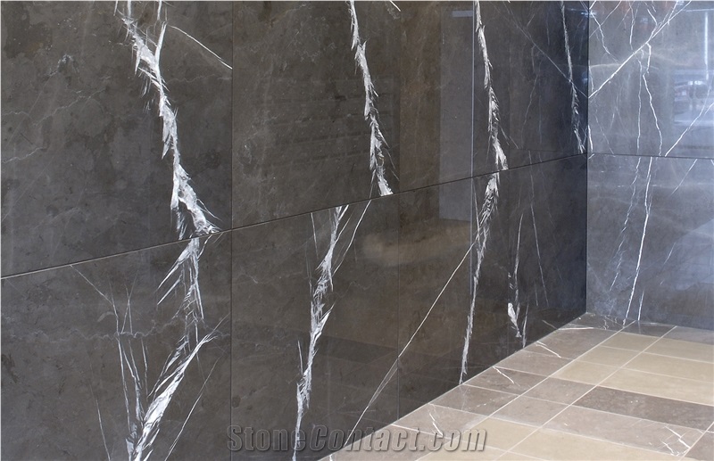 Pietra Gray Marble,Iran Grey Marble Tiles for Walling & Flooring