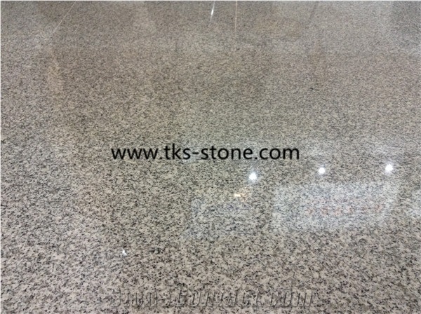 G603 Slabs,G603 Tiles,Grey Kerbstone,G603 Half Slabs,Granite Curbstone,Xiamen G603