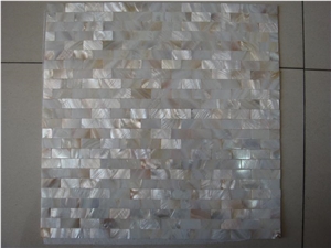 Shell Mosaic,Fllr Mosaic