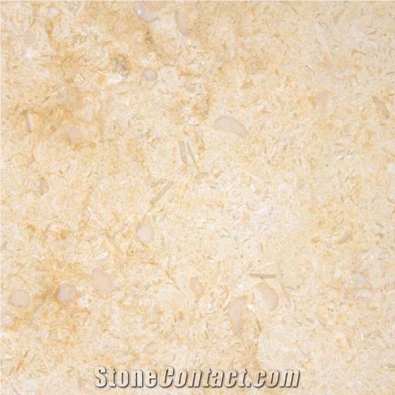 Galala Marble Slabs & Tiles, Egypt Beige Marble