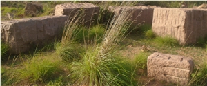 Izaan Golden Pink Granite